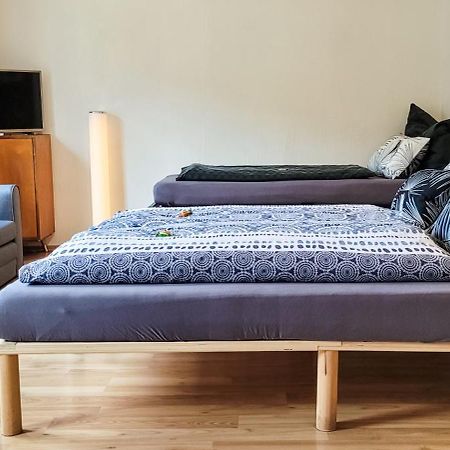 Suhl - Ihre Erholsame Arbeiterwohnung In Zentrumnaehe Экстерьер фото